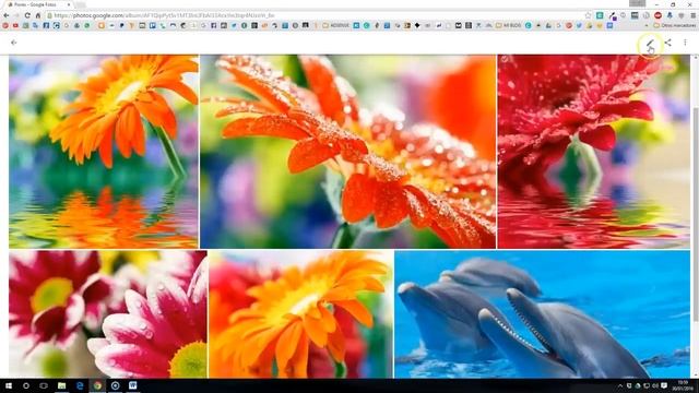 GOOGLE FOTOS - Qué es y Cómo Usarlo - CORRECTAMENTE #2021 смотреть онлайн