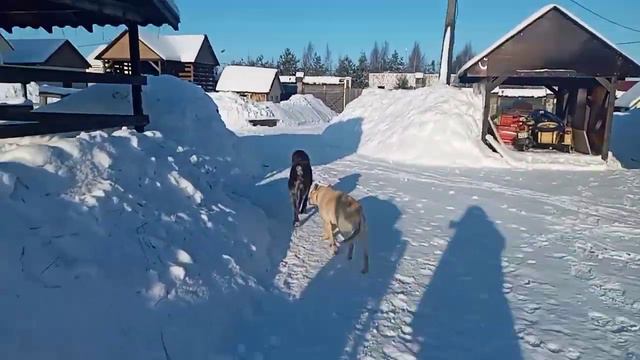 2022 . снег было много смотреть онлайн