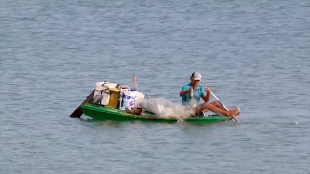 Иравадийский дельфин. Дельфин живущий в любой воде смотреть онлайн