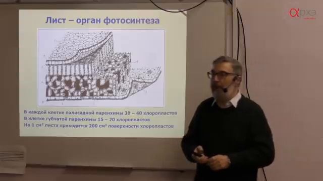 Иван Тараканов: "Фотосинтез и космическая роль зеленого растения" смотреть онлайн