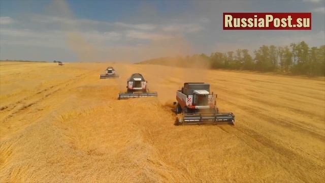 США помогли России поднять сельское хозяйство и выйти в мировые лидеры смотреть онлайн