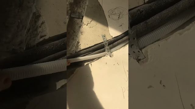 Чистота для всех