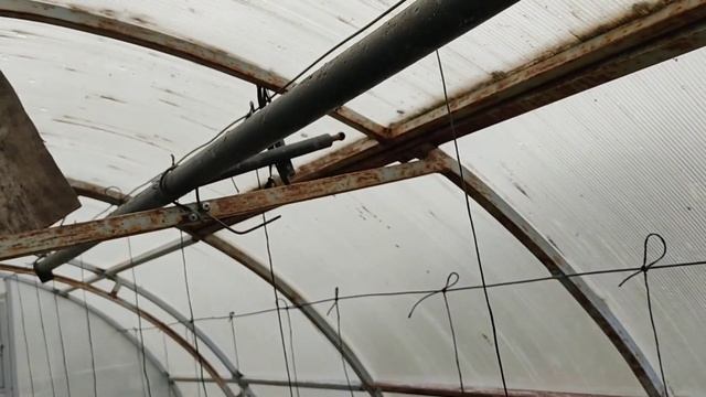 Проблемы с выращиванием томатов Лен. обл., самодельный автомат открывания форточки и пр... смотреть онлайн