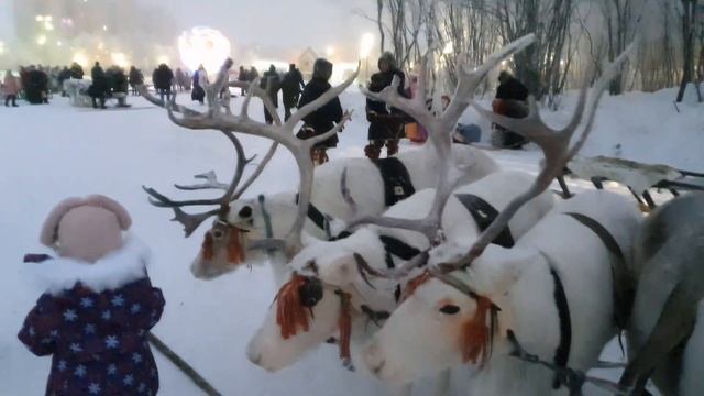 Воркута. Олени. Ноябрь 2019. смотреть онлайн