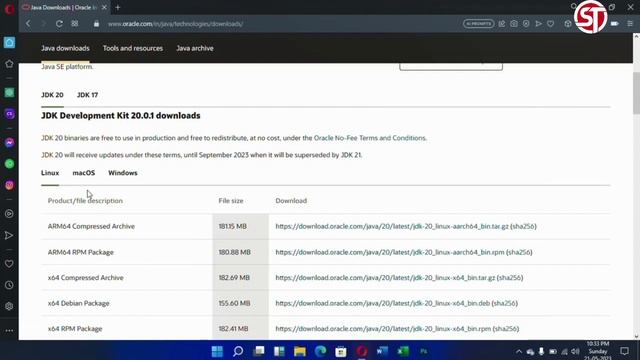 JDK Download For Windows 11 | How To Download JDK For Windows 11 | JDK कैसे Download करें 2023 смотреть онлайн