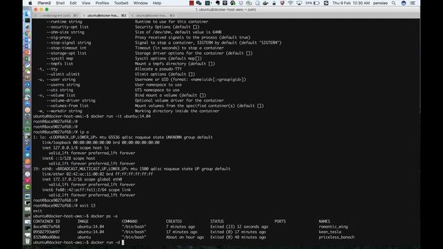 3.4 docker container basic operation смотреть онлайн