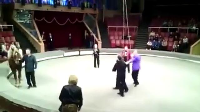 Прикол в цирки пяный мужик и его жена смотреть до канца смотреть онлайн