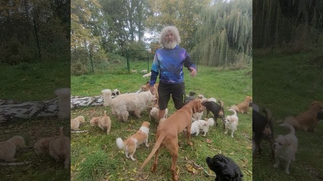 Robert Franz: Vortrag in Feldkirchen 26.10.2022 15 Uhr im Stadtsaal смотреть онлайн