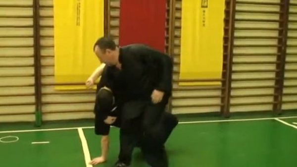 Тайцзицюань Чень, применение. www.taichi-spb.ru