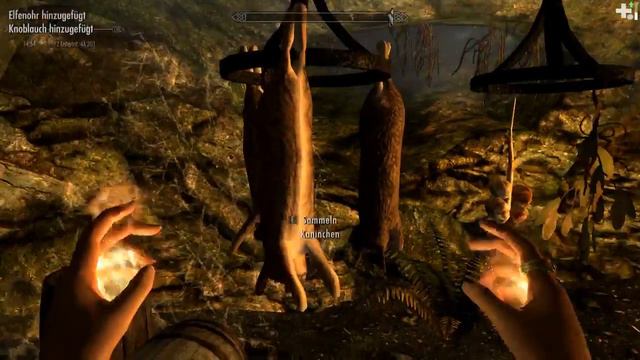 Skyrim | #097 | Roggis Ahnenschild смотреть онлайн