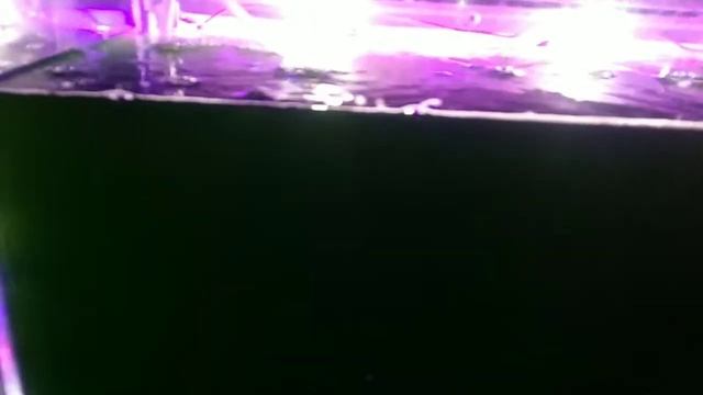 Самодельный биореактор для хлореллы ч-2. смотреть онлайн