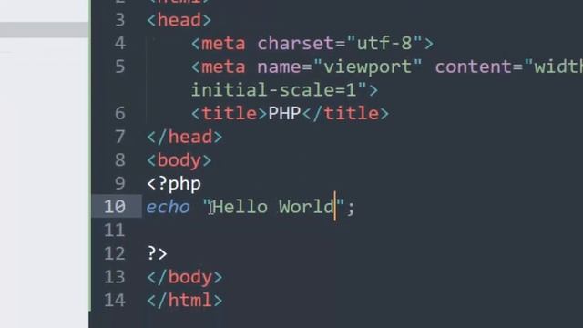 PHP TUTORIAL 3 Display text смотреть онлайн