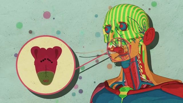 ЧТО БУДЕТ ЕСЛИ ПИТАТЬСЯ ТОЛЬКО СЛАДКИМ? смотреть онлайн