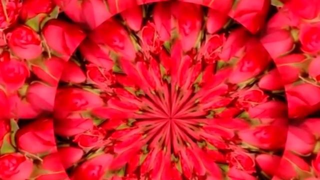 миллион алых роз Л К 0001 смотреть онлайн