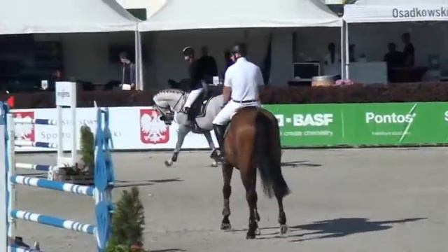 I-Rock Flower, 2013, Harley x Little Rock (Rockella), 5yo Final CSI Jakubowice смотреть онлайн