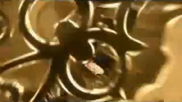 CM Oguri Shun Horikita Maki смотреть онлайн