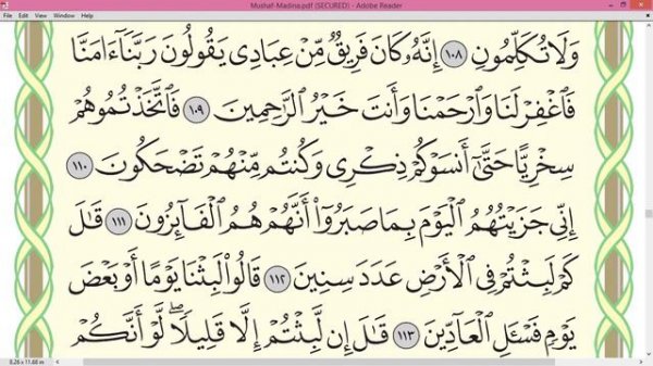 Шейх Айман Сувейд  сура Аль Му минун стр 349