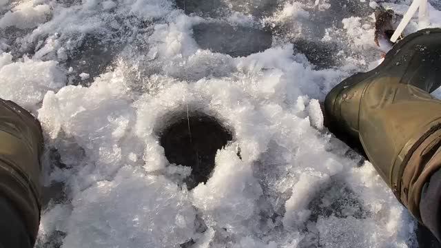 Ханты-Мансийский округ. Озеро Светлое. часть 1. смотреть онлайн