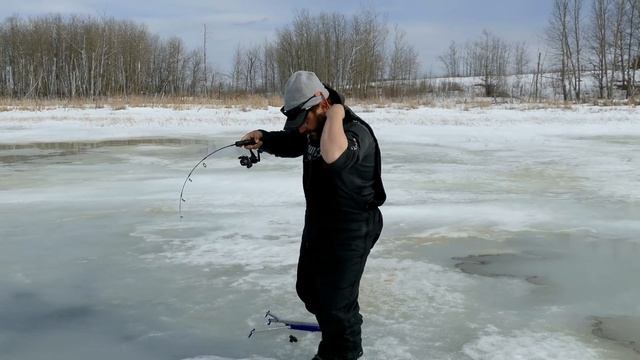 Trophy Brown & Rainbow Trout Ice Fishing tips/tricks смотреть онлайн