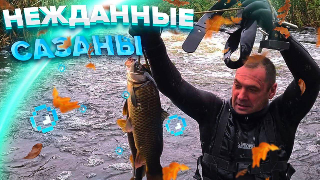 ПОДВОДНАЯ ОХОТА НА САЗАНА ОСЕНЬ 2023г.
