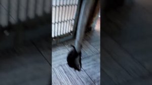 Ремонт оконного кондиционера