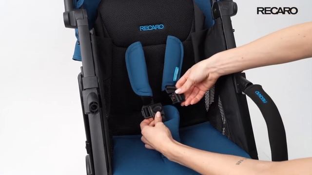 Recaro Easylife Elite 2 - полное руководство по коляске
