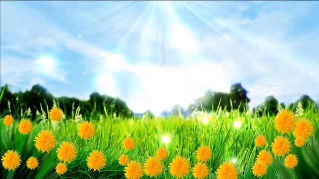 Фон для видеомонтажа Весенний луг c одуванчиками HD Background смотреть онлайн