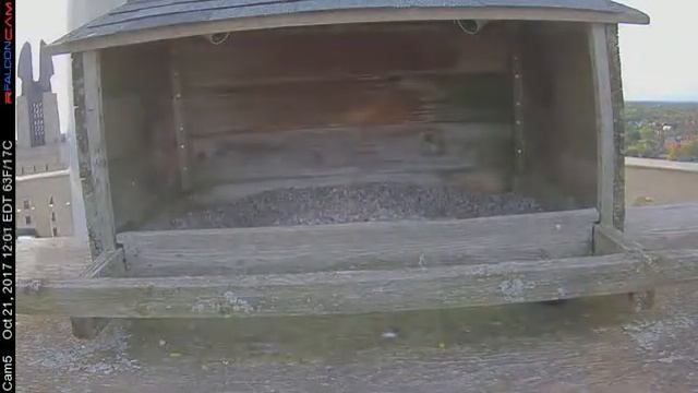 Camera 5 - 10/21/17 смотреть онлайн