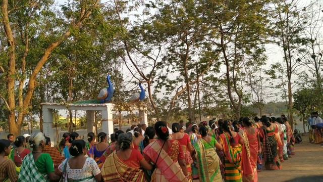 Baripada Baha Bonga @sorenfamily5319 #baripada смотреть онлайн