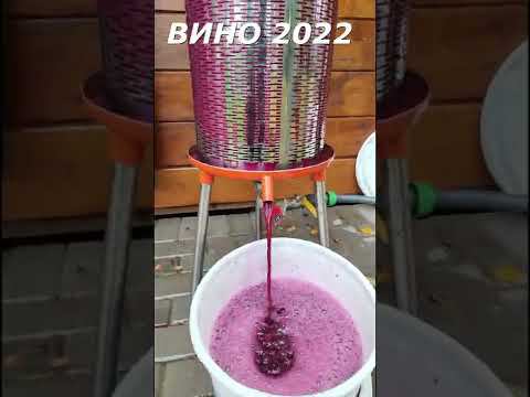 Домашнее вино Урожай 2022 года смотреть онлайн