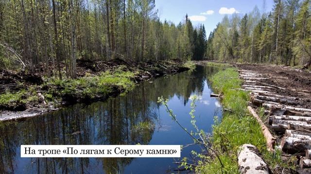 Проект «Звезда полей Николая Рубцова: живые уроки на Толшме» смотреть онлайн