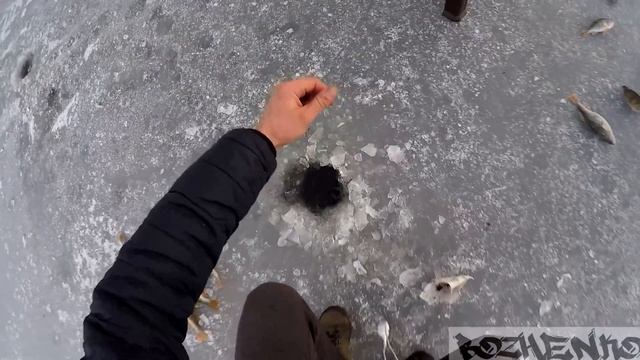 ЛОВЛЯ ОКУНЯ НА МОРМЫШКУ С МОТЫЛЁМ .ПЕРВЫЙ ЗИМНИЙ ОПЫТ .Зимние велопокатушки .(1080p 50 Fps)