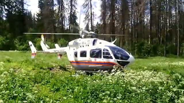 Вертолет МЧС в лесу рядом с пос. Шишкин лес