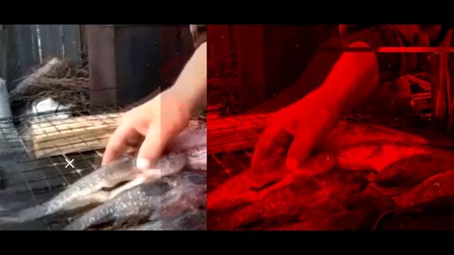 Павел Елькин - влоги о технике,охоте и рыбалке!!! смотреть онлайн