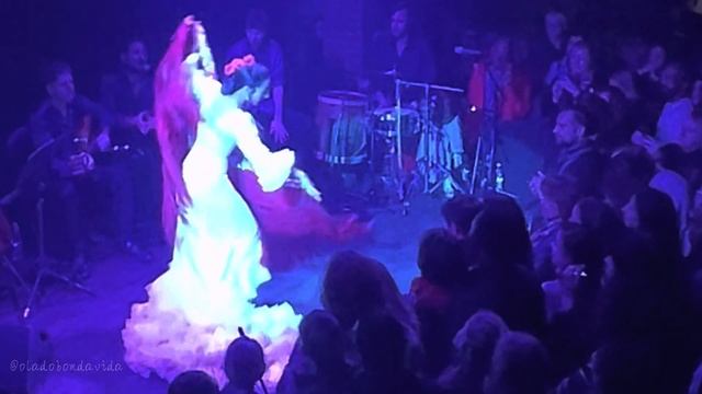 [05] Castanights a night of flamenco fever. Jazz cafe. Camden Town. November 25, 2022. смотреть онлайн