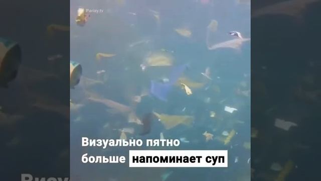 Мусор континент смотреть онлайн