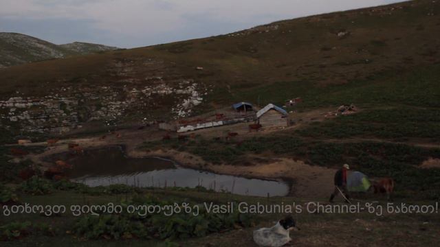 SUBTITLES! ასხის მთის ლეგენდარული სულგუნი The legendary Sulguni (Georgian cheese) from Mount Askhi смотреть онлайн