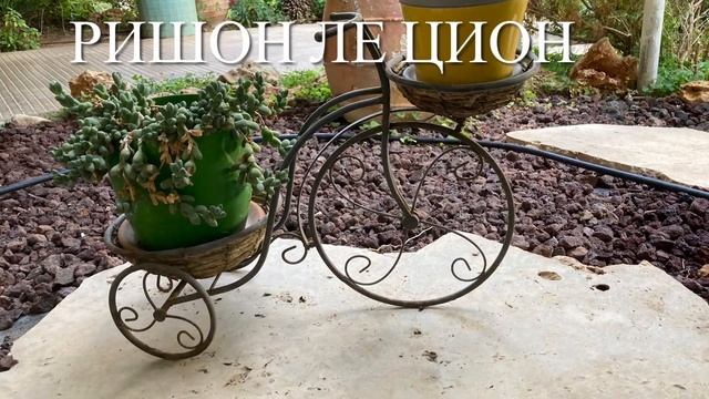 25. Велосипеды в городе. Обычные и необычные. смотреть онлайн