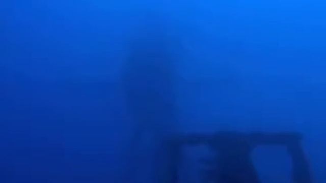 Подводный мир и пещеры Багамских островов смотреть онлайн