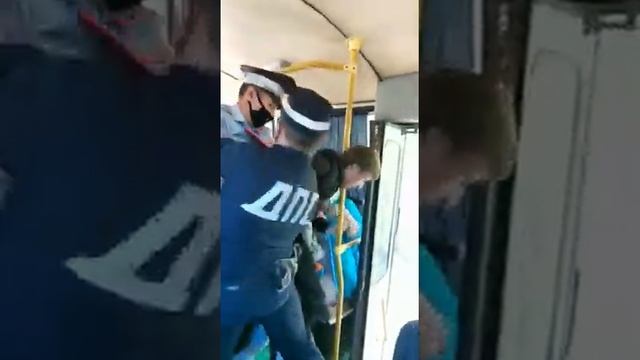 Собаки серые и пёс смердячий смотреть онлайн