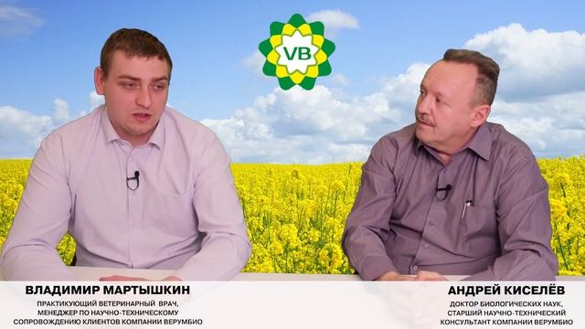 Здоровая Буренка. Как лечить мастит? смотреть онлайн