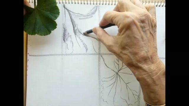 Nature Thumbnail Sketches смотреть онлайн