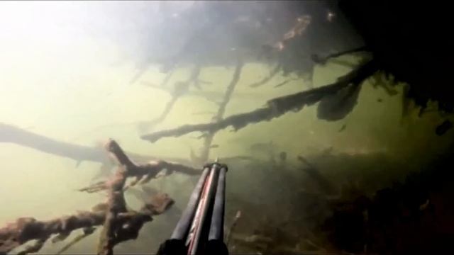 Видео презентация канала "Люди Воды" смотреть онлайн
