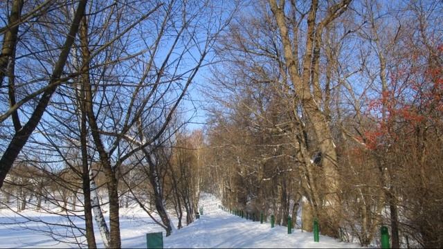 Музей-усадьба Л. Н. Толстого «Ясная Поляна, зима.