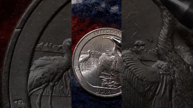 2014 Everglades quarter more weird multi ?errors? coin смотреть онлайн
