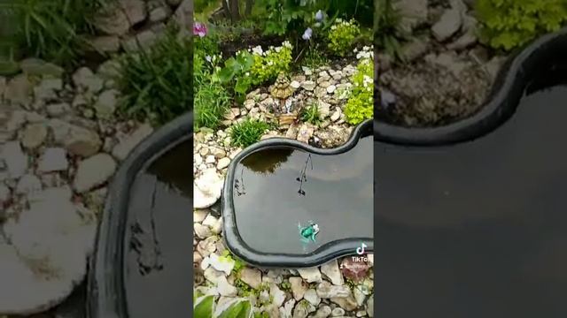 Вот такой японский садик у меня ?, просто юмор) смотреть онлайн