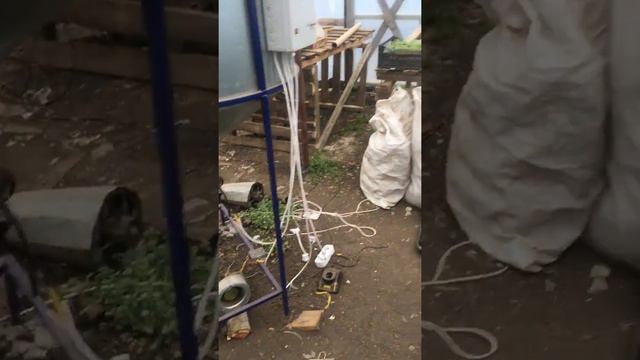 Рассада помидор в январе смотреть онлайн