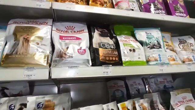 Что нужно приобрести для щенка в доме смотреть онлайн