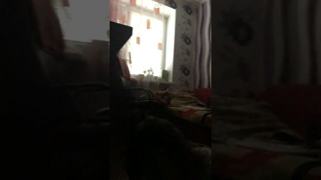 Позвони духа чарли чарли смотреть онлайн