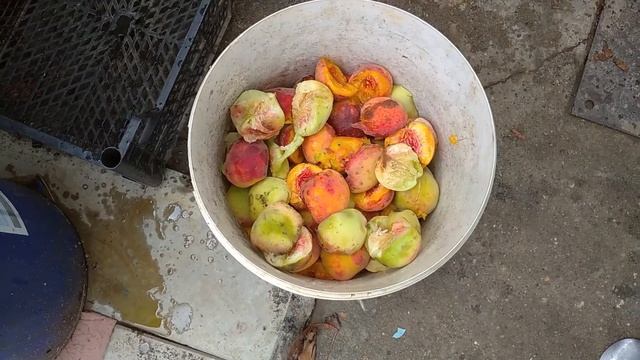 Рецепты счастья с Натальей